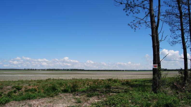 Au sein du massif forestier des Landes girondines, les clairières de maïsiculture dégagent de très grandes surfaces ouvertes - Audenge