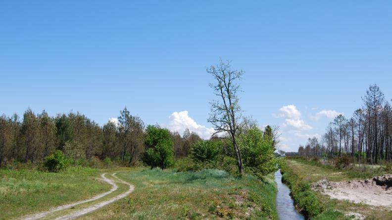 Le creusement de fossés artificiels a permis le drainage du plateau sableux, Lanton