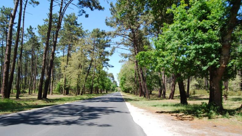 Le maintien d'un secteur boisé préservé entre Andernos-les-Bains et Arès assure une respiration en soulignant la coupure d'urbanisation : le passage de la route RD3 offre un retour au paysage de la pinède entre les deux villes.