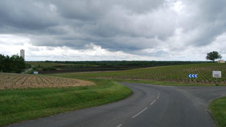 La vigne se cantonne aux coteaux, les terres basses des vallons étant trop humides - Saint-Seurin-de-Cadourne