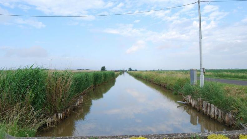 Le creusement de nombreux canaux a permis la mise en culture des marais de Braud-et-Saint-Louis, Saint-Ciers-sur-Gironde