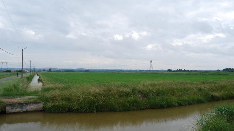 Un réseau complexe de canaux et contre-canaux permet l'évacuation des eaux du marais de Braud-et-Saint-Louis vers l'estuaire - Saint-Ciers-sur-Gironde