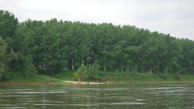 Les paysages de Hure, en rive gauche, sont occultés par les plantations - Bourdelles