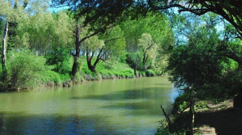 Quelques cabanes de pêche sont installées sur les berges du Dropt - Casseuil