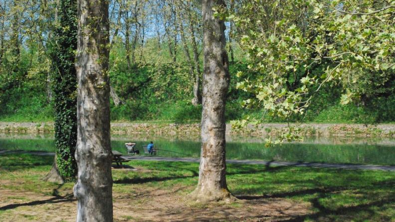 Le canal latéral à la Garonne offre des berges accueillantes - Castets-en-Dorthe