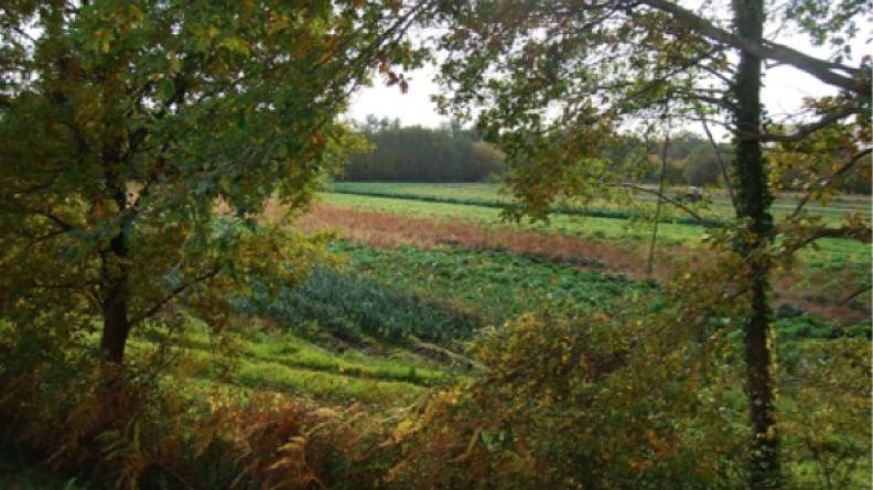 Vallée maraîchère à Eysines et Le Taillan Médoc