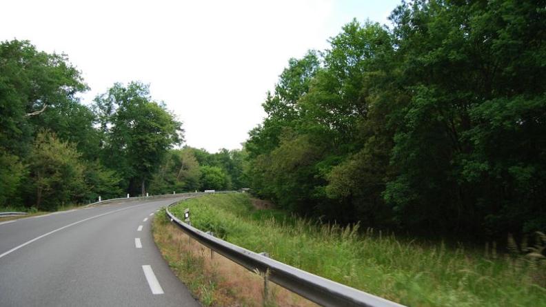 Les boisements de la vallée de la Leyre - Belin-Beliet