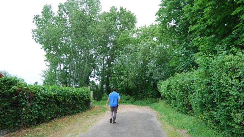 Un écran végétal opaque masque la Garonne au bout du chemin de la Cale - Beautiran