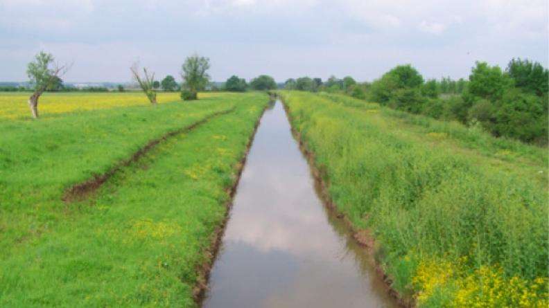 Jalle de la Lande marais de Blanquefort et Parempuyre