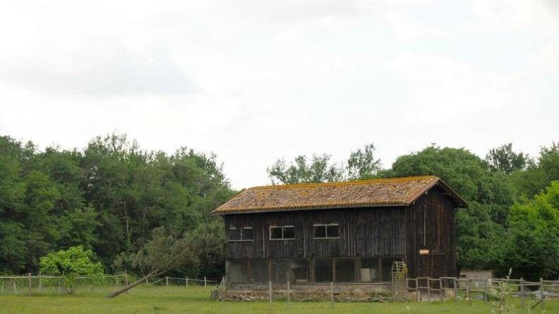 Séchoir à tabac à l'ouest d'Auros