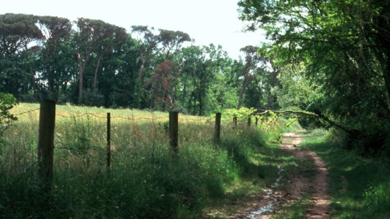 Les coteaux boisés et pâturés du domaine de la Burthe - Floirac