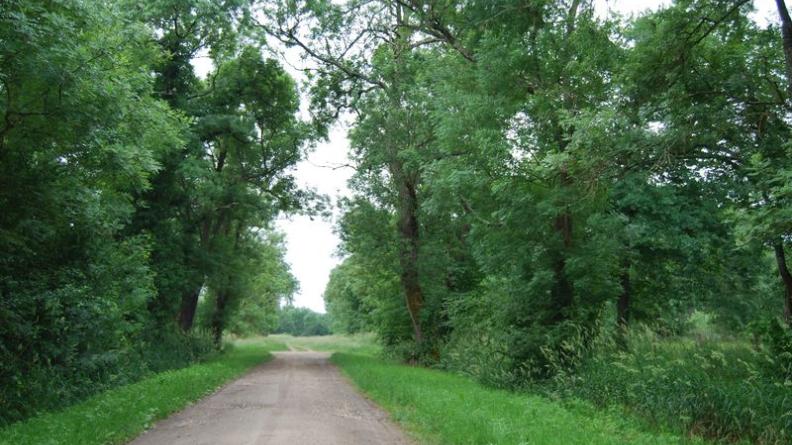 Les chemins se glissant entre les haies offrent des ambiances paysagères intimistes - Cadaujac