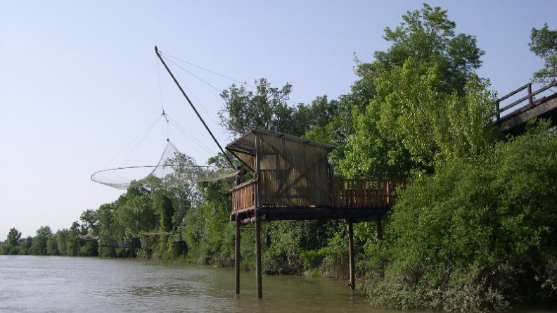 ripisylve de la Garonne