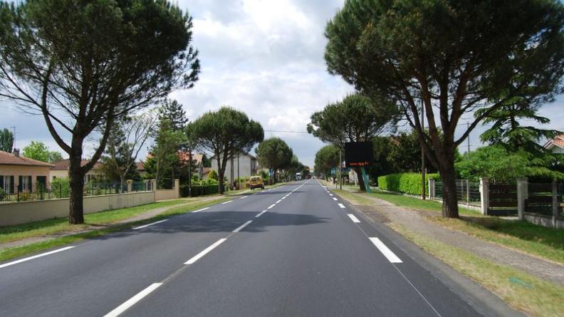 Les alignements de pins valorisent la traversée de Captieux