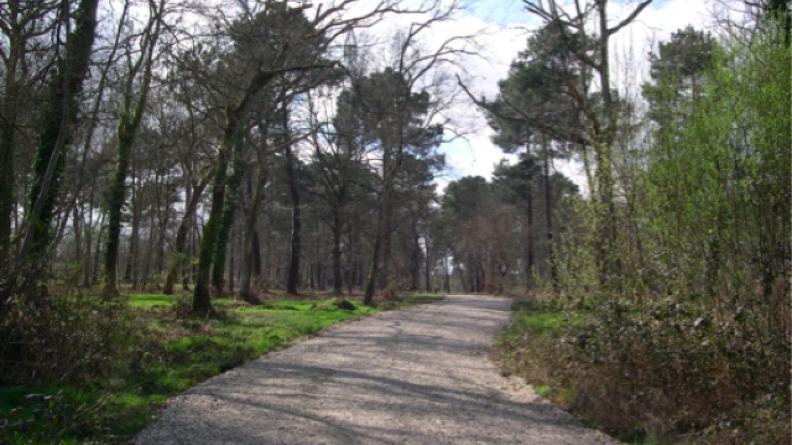 Le Bourgailh (Pessac)