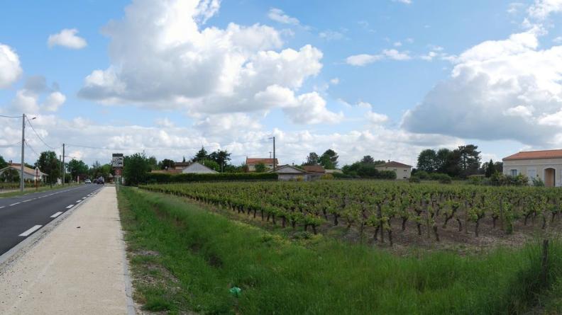 Au nord de Parempuyre, la vigne s'étend jusqu'à l'entrée dans l'agglomération
