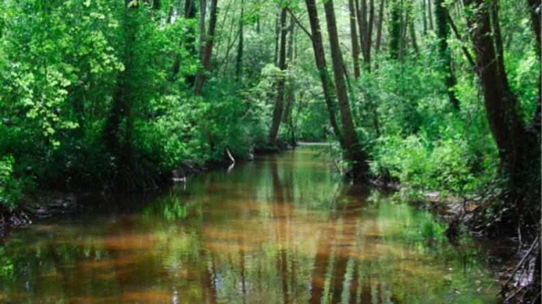 L'Eau Bourde, à Cestas