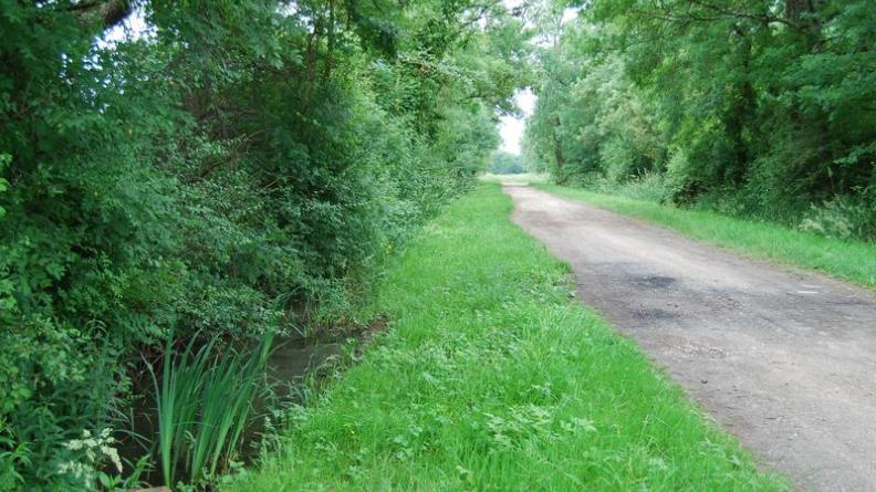Haies et fossés constituent des habitats précieux - Cadaujac
