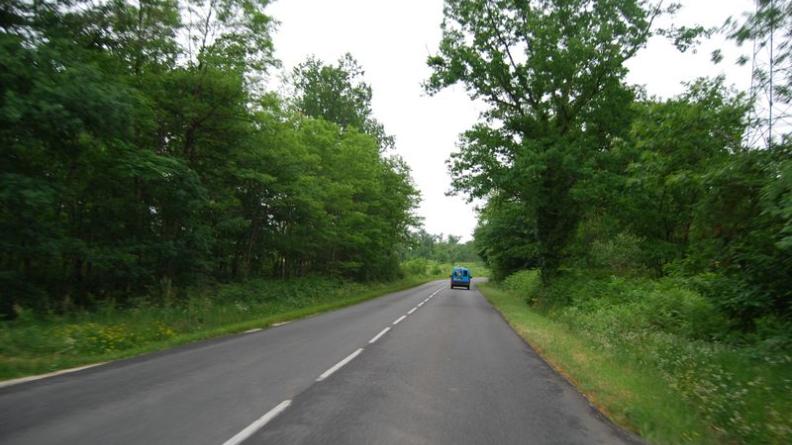 Traversée d’un boisement à l’est de La Brède