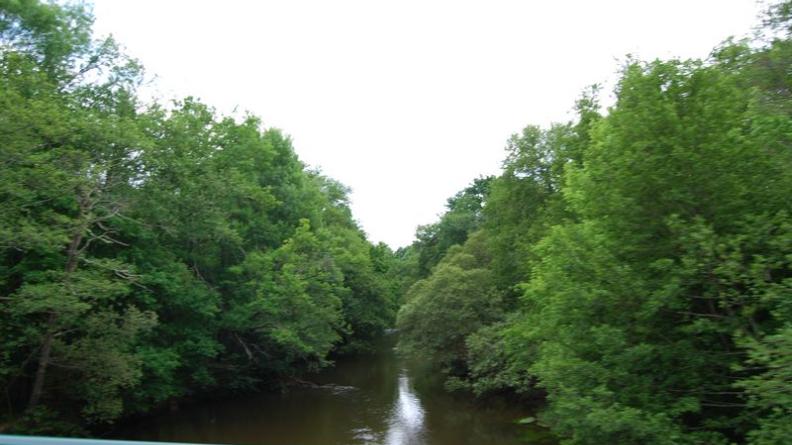 Le cours de la Leyre s'écoule au milieu des feuillus - Belin-Beliet