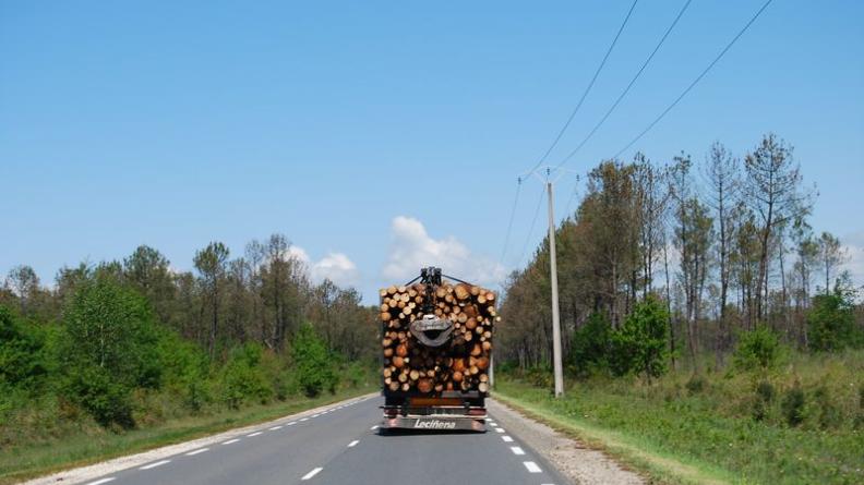 Les grumiers sillonnent les routes de la pinède - Marcheprime