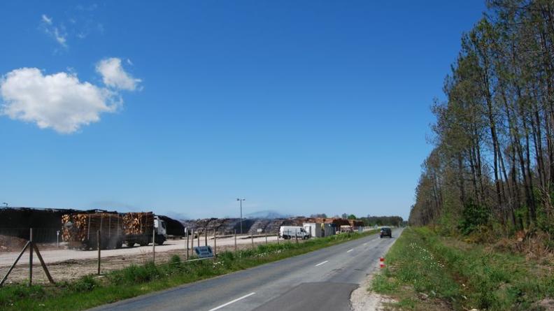 La sylviculture est le moteur des paysages des Landes girondines - Audenge