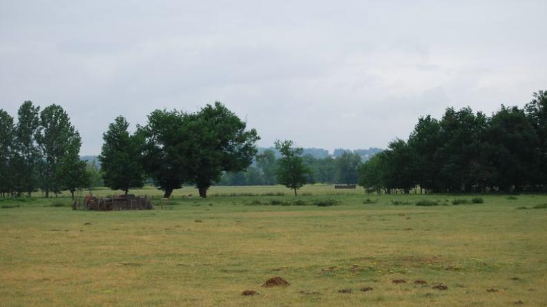 Les structures restent lisibles, mais les haies sont discontinues - Saint-Médard-d’Eyrans