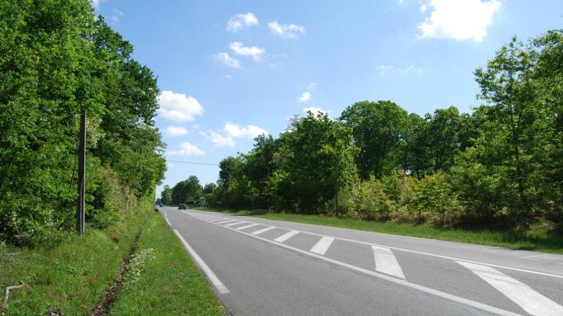 Lisières boisées et fossés enherbés au long de la RD1250 - Cestas