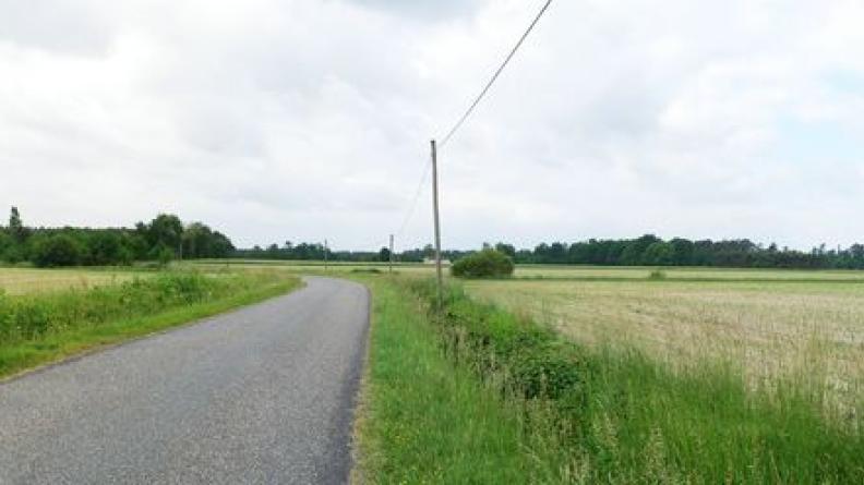 Petite clairière céréalière entre Landes girondines et Bazadais - Lavazan