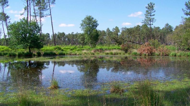 Lagune à Captieux