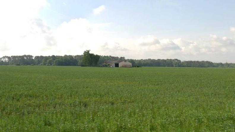 Les terres cultivées s'étendent sur de très grandes surfaces, ouvrant de larges horizons - Loupiac-de-la-Réole