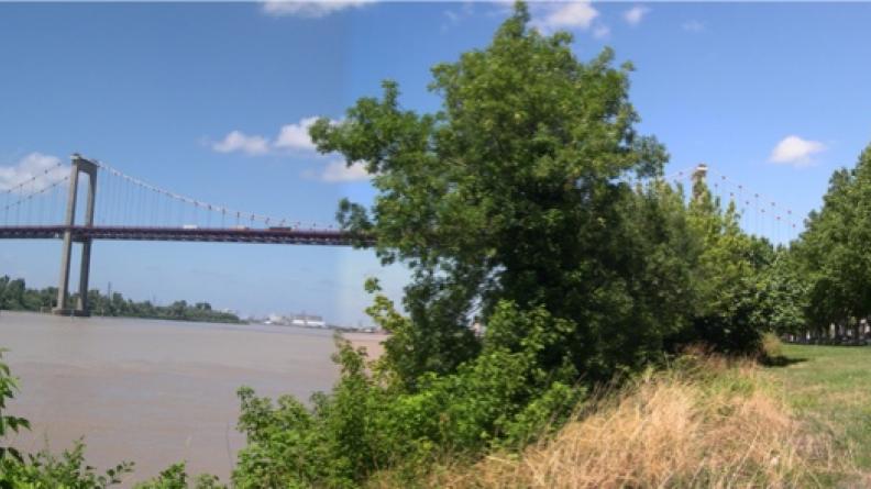 Les bords de Garonne rive droite