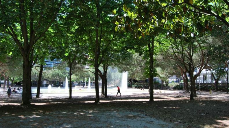L'esplanade plantée de pins, conçue par Jacques Sgard, offre un espace public agréable