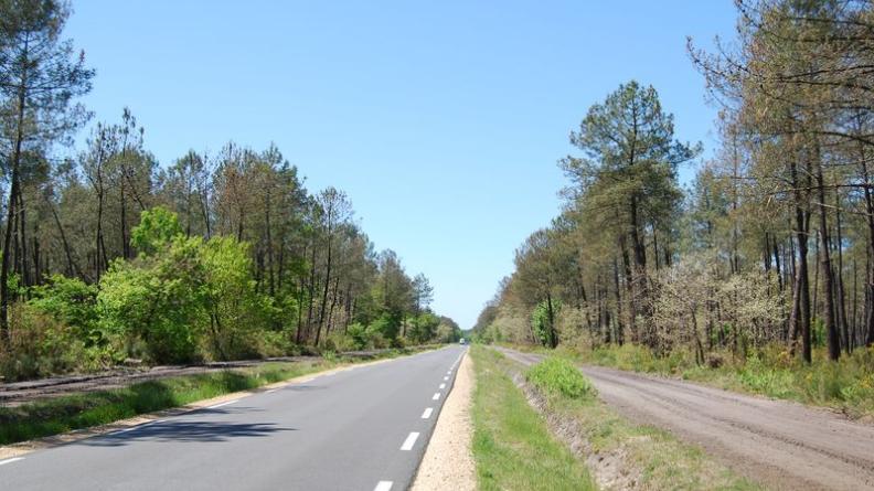 La route est longée de fossés enherbés et de pistes de terre, dégageant un passage clair dans la forêt - Lanton