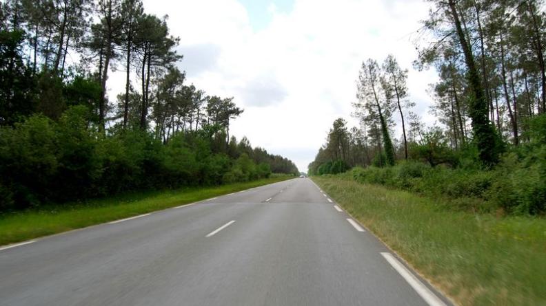 Le tracé rectiligne des routes dessine de longues trouées dans les arbres - Captieux