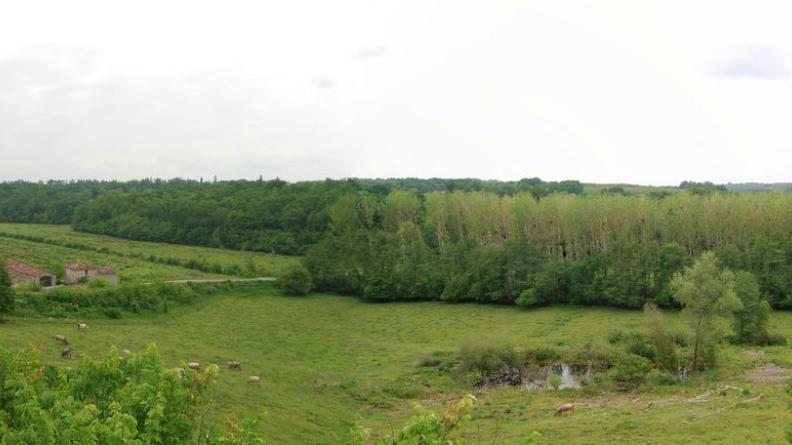 Vallon pâturé et boisé à Mazères