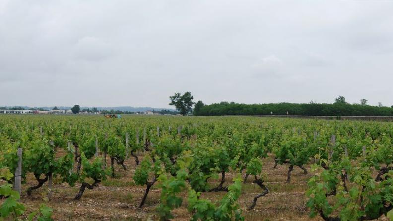 La proximité des zones d’activités, à gauche, dévalorise le paysage du domaine viticole, à droite - Beautiran