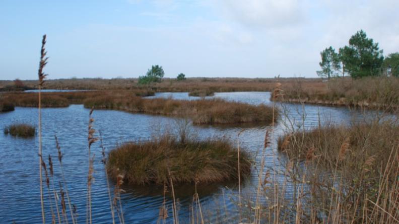 Atlas des paysages - Le Teich