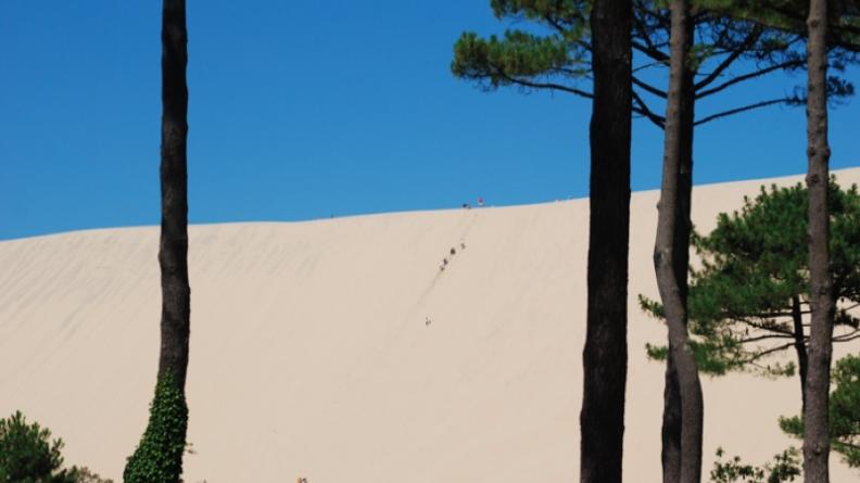 Atlas des paysages - Pyla