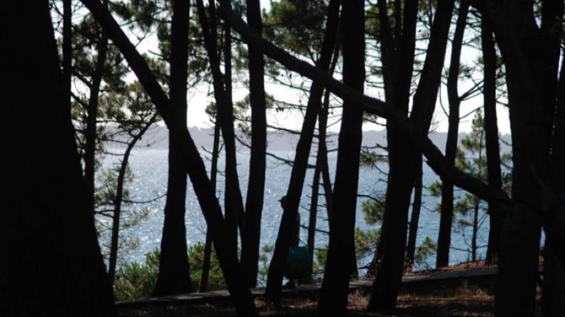 Atlas des paysages - Arcachon