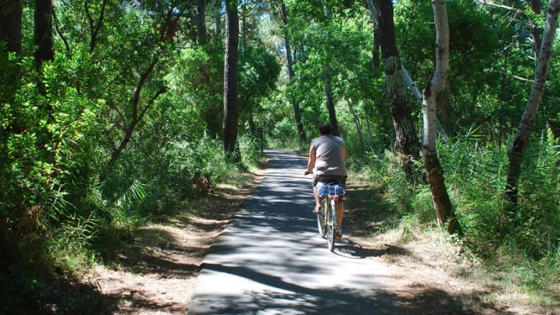 L'aménagement de pistes cyclables permet d'ouvrir le massif forestier aux promeneurs tout en canalisant les flux sur un parcours précis - Bassin d'Arcachon
