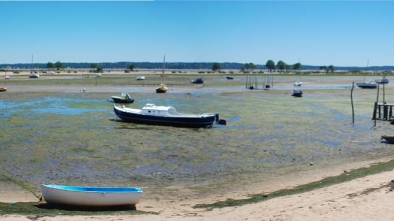 Atlas des paysages - Cap Ferret