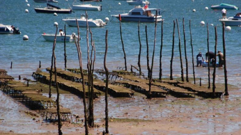 Atlas des paysages - Arcachon