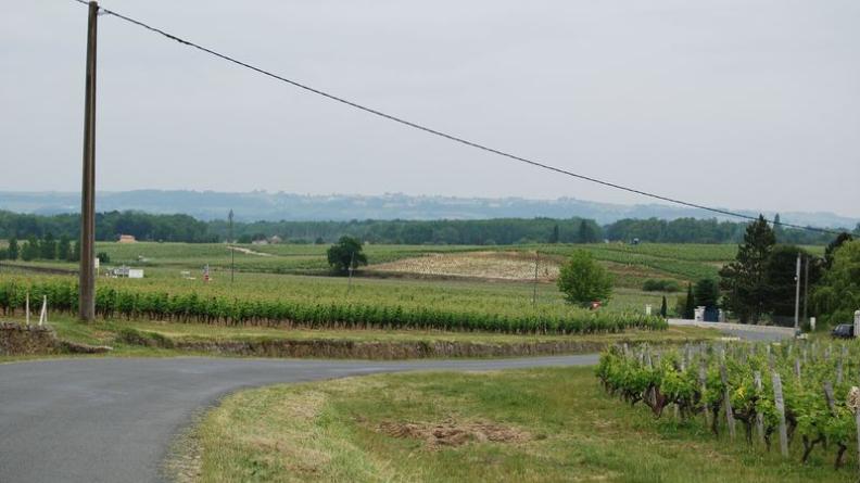 Les vignes s’étalent jusqu’aux boisements qui cernent la clairière en contrebas ; au-delà se dessinent les coteaux en rive droite de la Garonne - Bommes