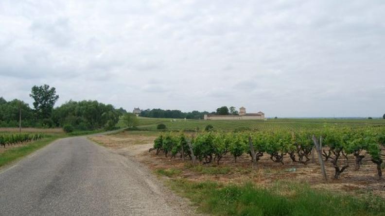 Château Lafaurie-Peyraguey et château Vigneau au fond - Bommes