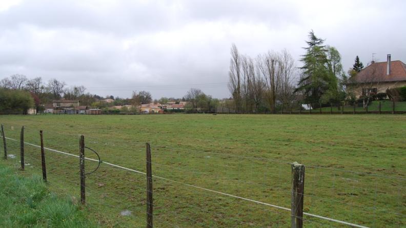 Maintien d'une prairie parmi les franges de l'agglomération bordelaise - Artigues-Près-Bordeaux