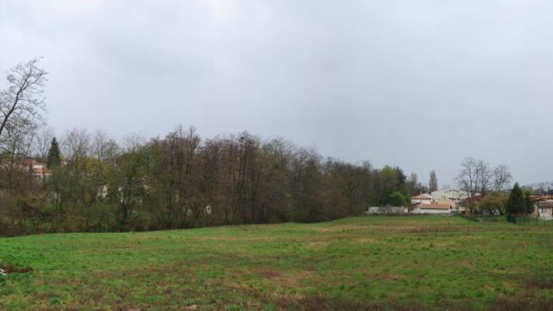 Au fond de ce même vallon, les prairies encore maintenues aux bords du ruisseau sont menacées par la pression de l'urbanisation toute proche - Artigues-Près-Bordeaux