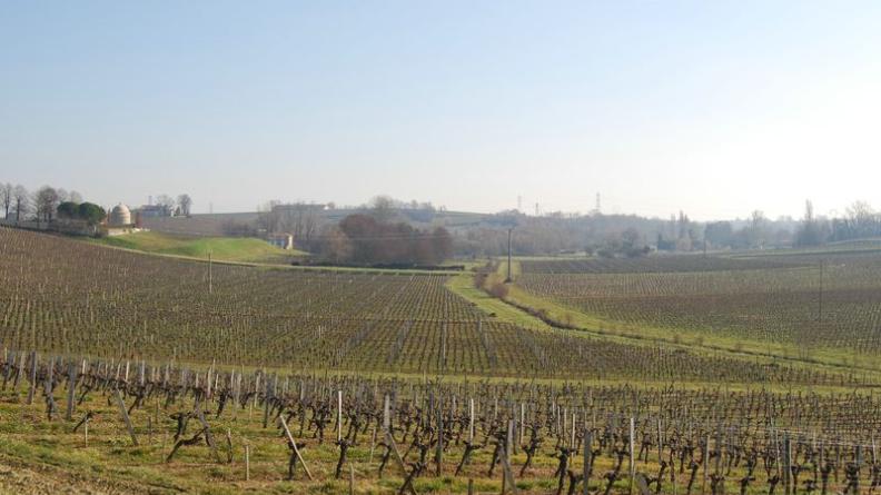 En contrebas du château du Bousquet (à gauche), les doux versants viticoles du vallon sont drainés par la Libarde - Bourg