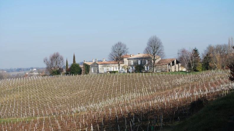 Château Le Petit Puy - Lansac