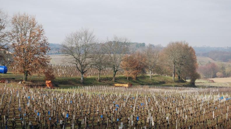 Les talus, difficilement exploitables, accueillent d'avantage de structures arborées - Lansac